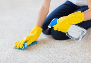 Carpet cleaning tips from Majestic Cleaning in Devon